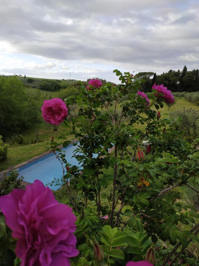 Poderi In Chianti Tavarnelle Val di Pesa Luaran gambar